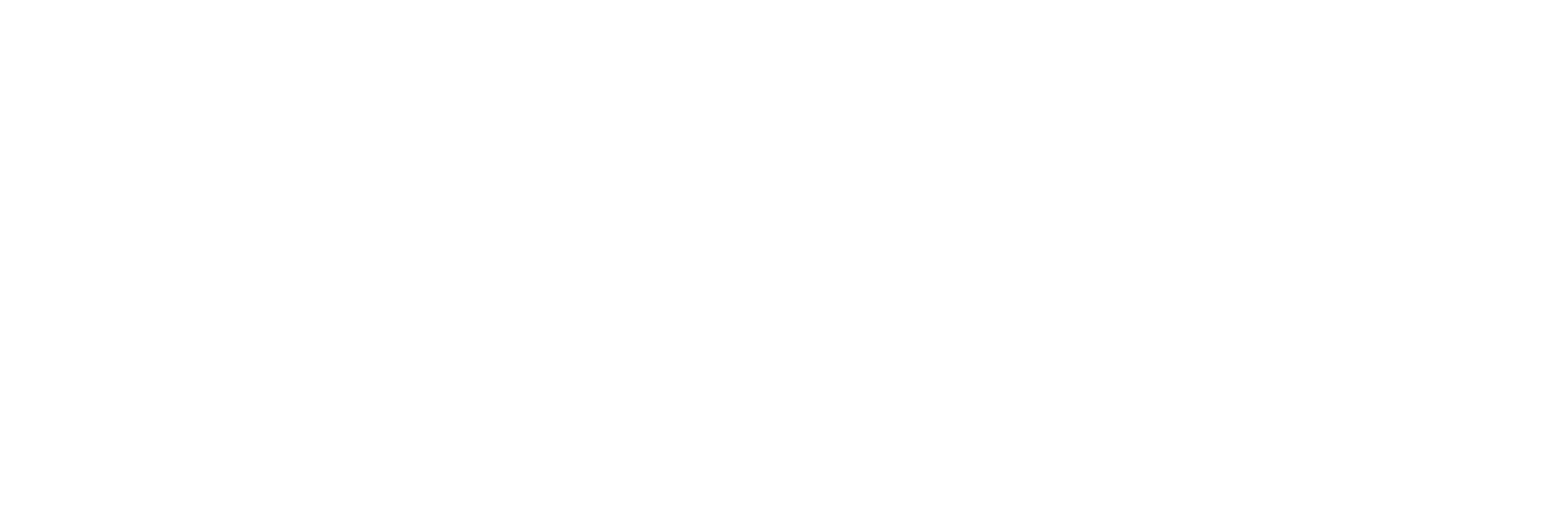 The Kite Co.